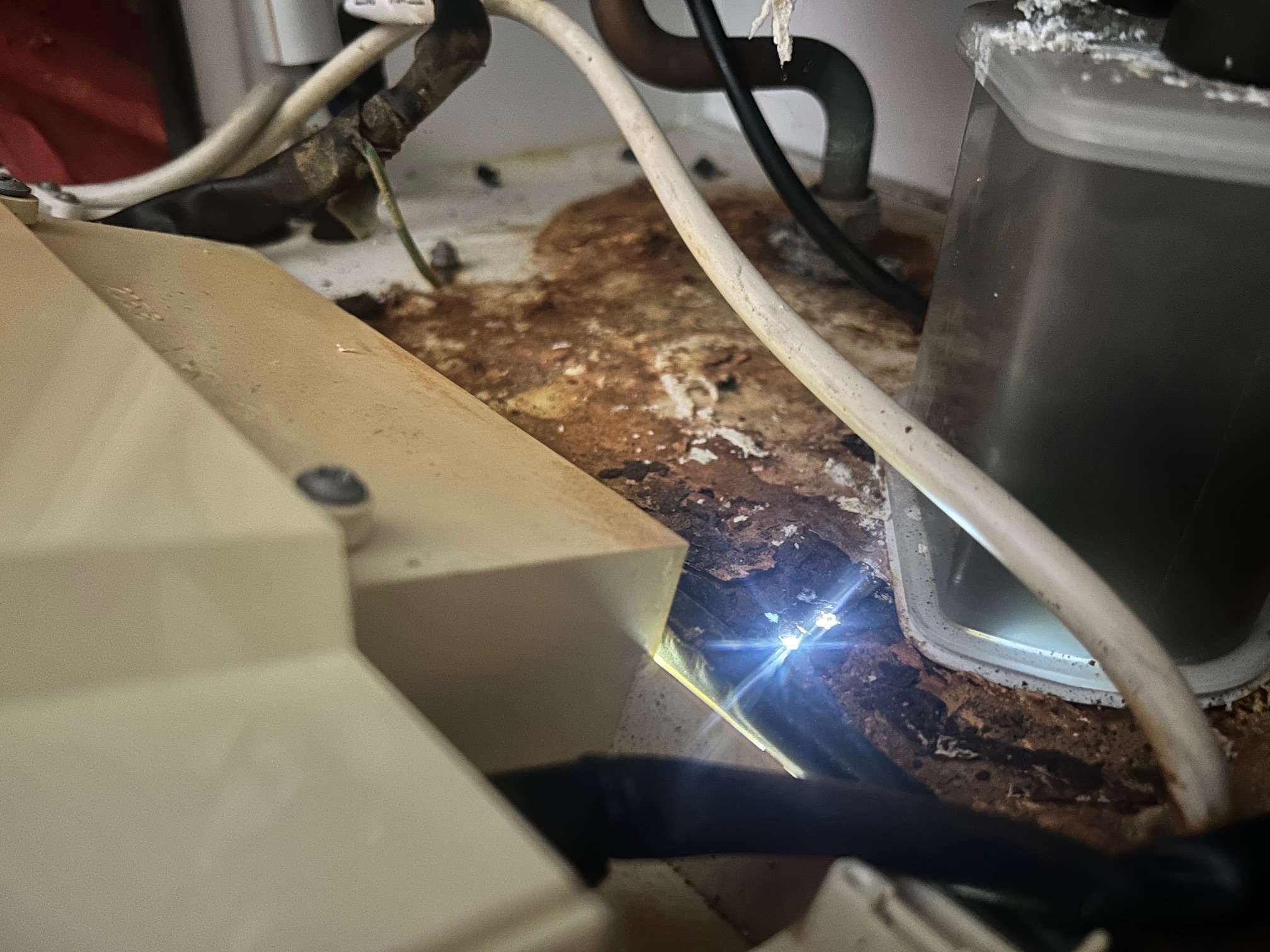 Is a Corroded Boiler Case 'At Risk' or 'Immediately Dangerous'?